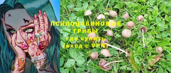 герыч Медвежьегорск
