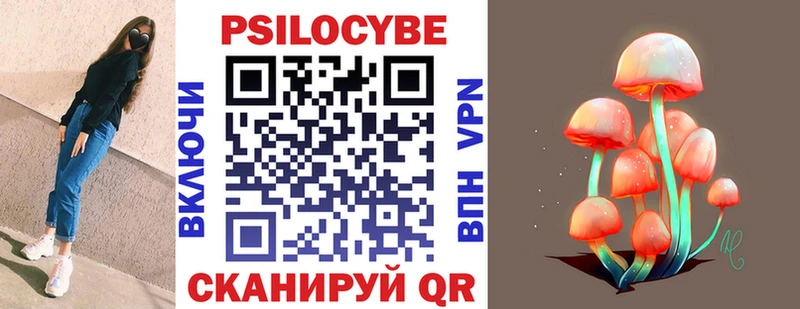 Псилоцибиновые грибы прущие грибы  гидра рабочий сайт  Шенкурск 